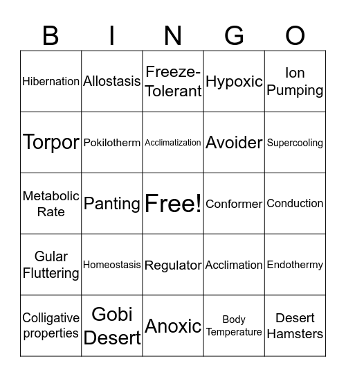 Desert Hamster BINGO! Bingo Card