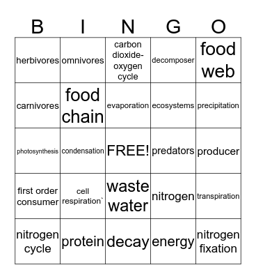 Ecosystems Bingo Card