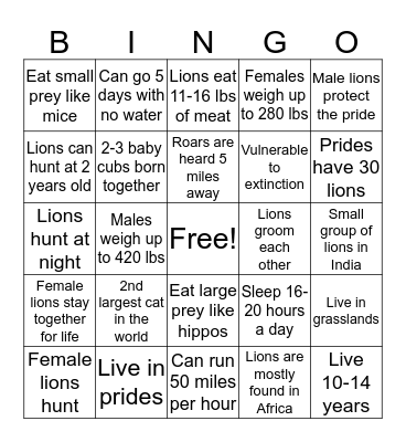 Lion Bingo! Bingo Card