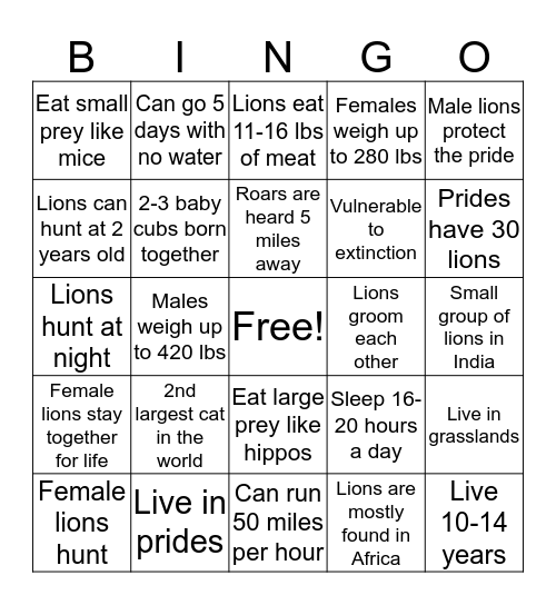 Lion Bingo! Bingo Card