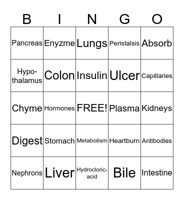 The Remarkable Body Bingo Card