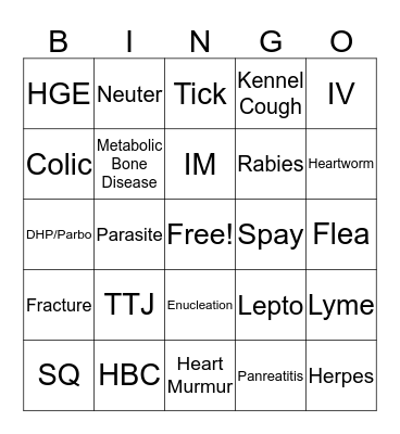 Pre-Vet Club Bingo Card