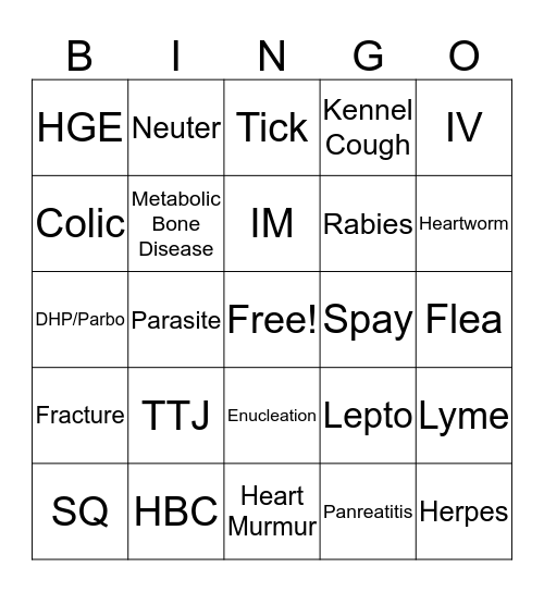 Pre-Vet Club Bingo Card