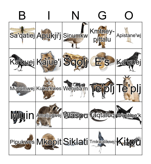 Animals Bingo Card