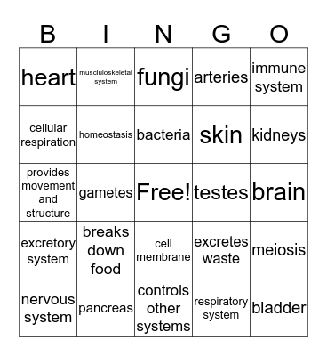 Human Body Review Bingo Card