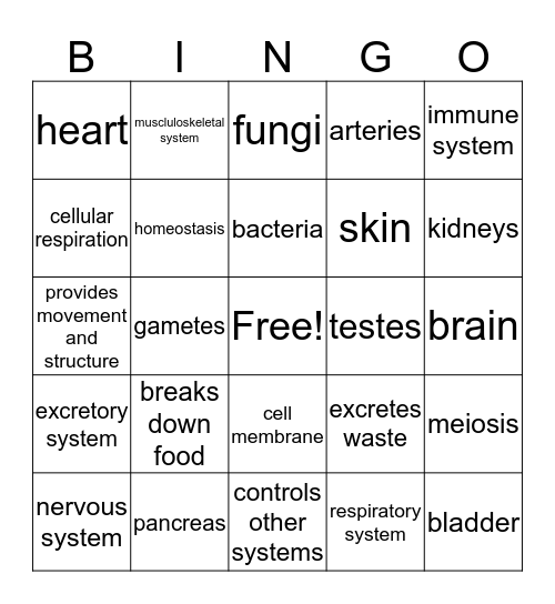Human Body Review Bingo Card