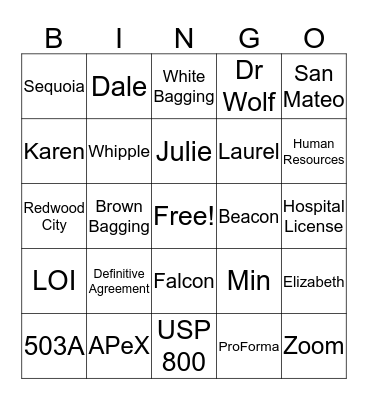 FALCON Bingo Card