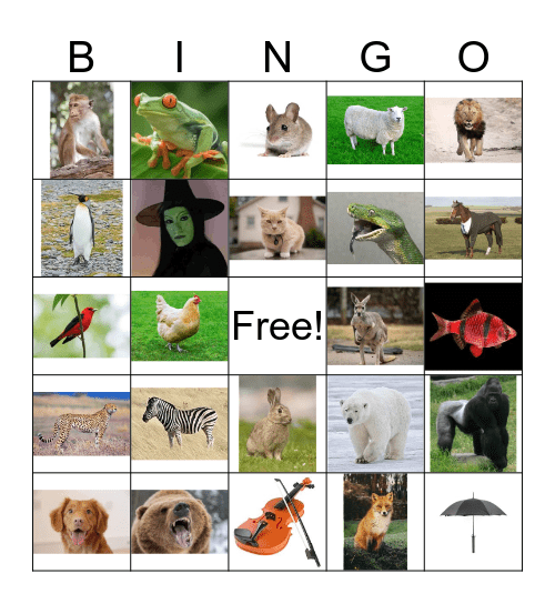 Animals Bingo Card