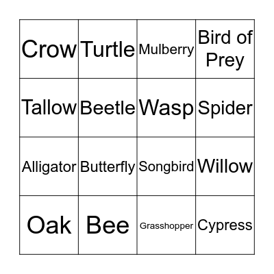 BIO BINGO Card
