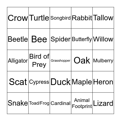 BIO BINGO Card