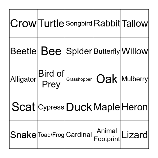 BIO BINGO Card