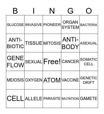 LEAP2025 REVIEW DAY BINGO Card