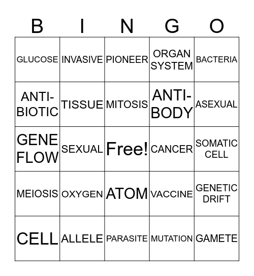 LEAP2025 REVIEW DAY BINGO Card