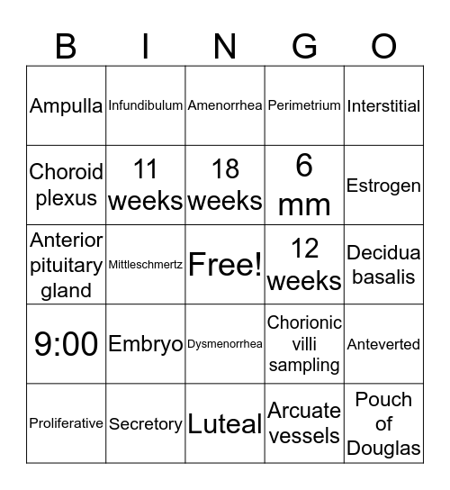 DMS 106 Final Review Bingo Card
