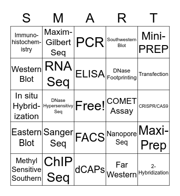 BIO 480 SMART CARDS Bingo Card