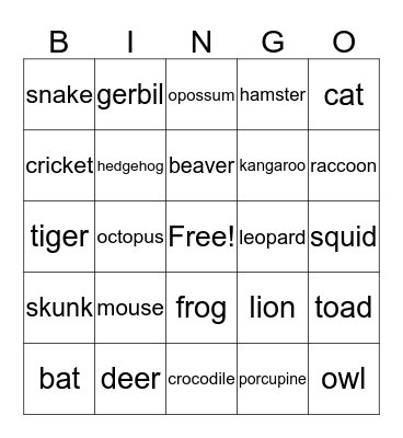 Animals at Night Bingo Card