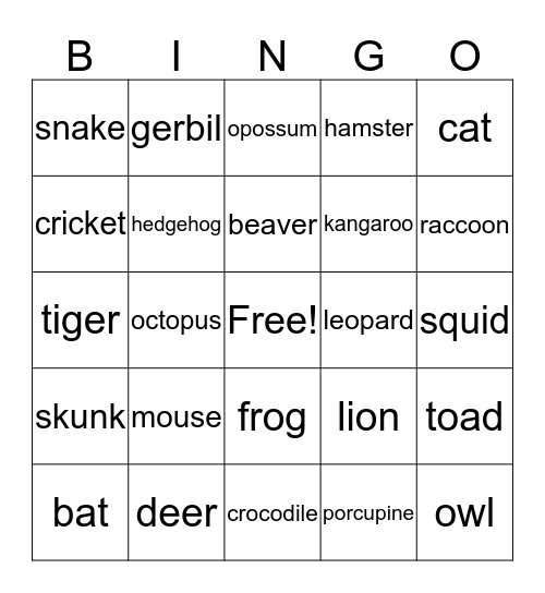 Animals at Night Bingo Card