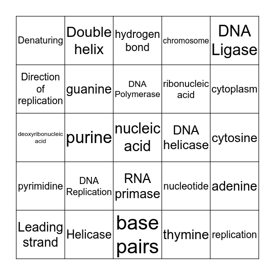 DNA Replication Bingo Card