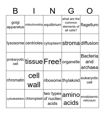Cell Structure and Function Bingo Card