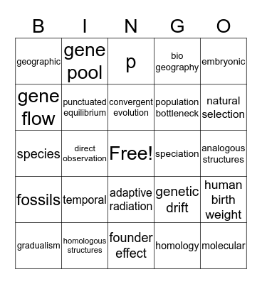 Evolution Review Bingo Card