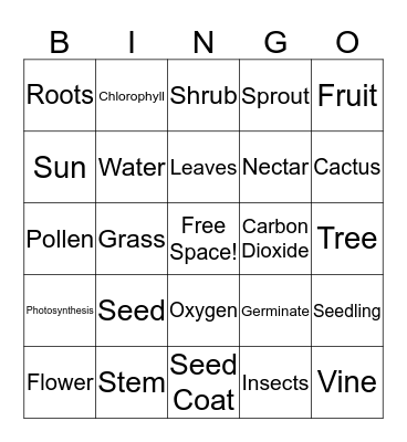 Plants BINGO Review Game Bingo Card