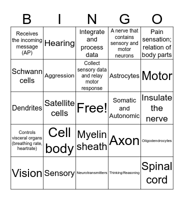Chapter 10 Nervous System Review Bingo Card
