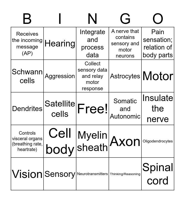 Chapter 10 Nervous System Review Bingo Card