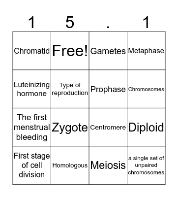 15.1 Bingo Card