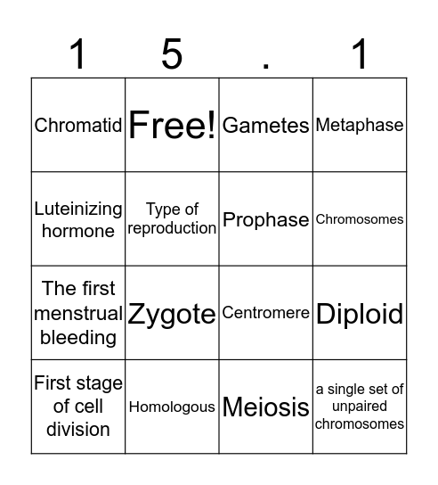 15.1 Bingo Card