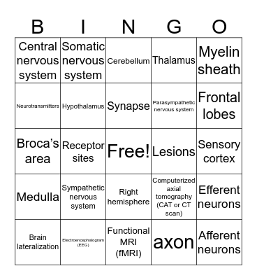 Biological Bases of Behavior Bingo Card