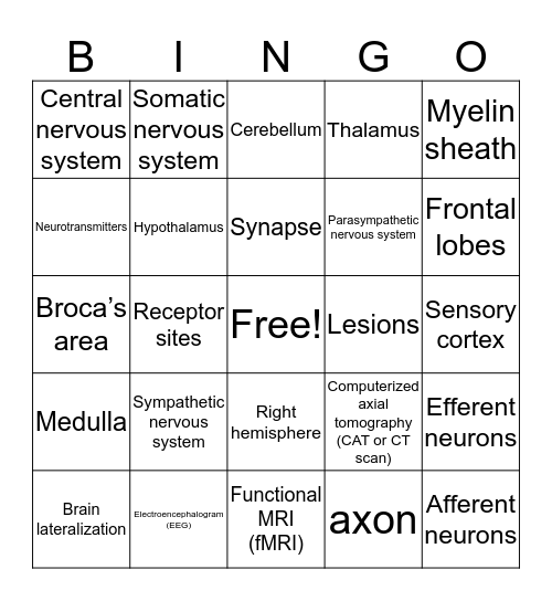 Biological Bases of Behavior Bingo Card