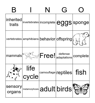 Animals Review  Bingo Card