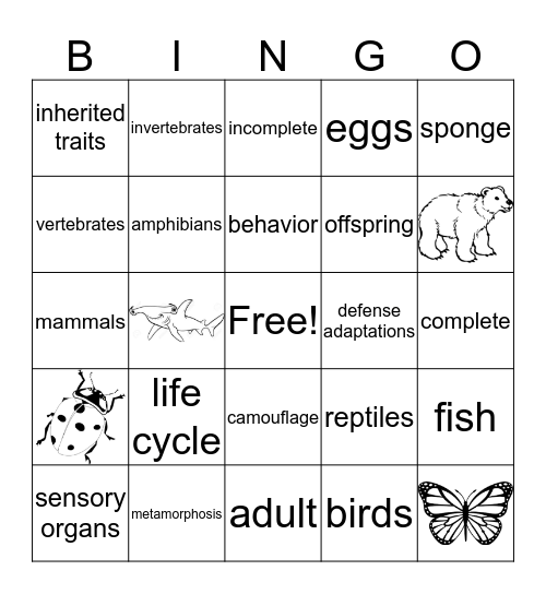 Animals Review  Bingo Card