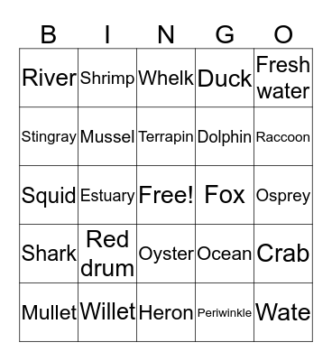 Salt Marsh Bingo Card