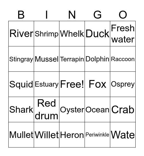 Salt Marsh Bingo Card