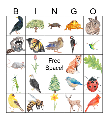 Plants and Animals of Nemours Estate Bingo Card