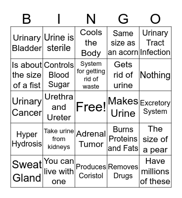 Excretory System Bingo Card