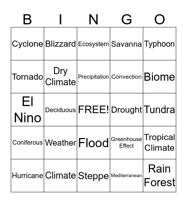 Ch. 3 - Vocabulary  Bingo Card