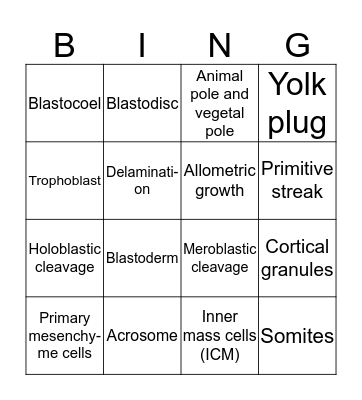 Animal Development Bingo Card