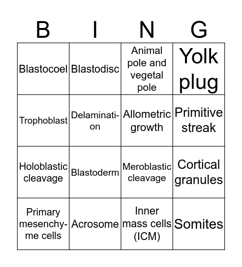 Animal Development Bingo Card