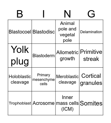 Animal Development Bingo Card