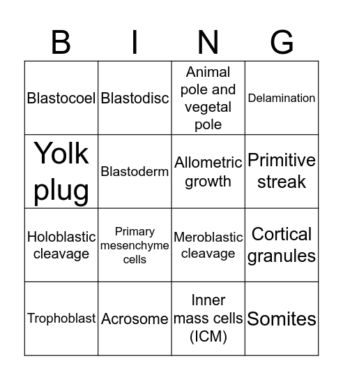 Animal Development Bingo Card