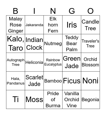 Blue Zones Botanical Bingo Card