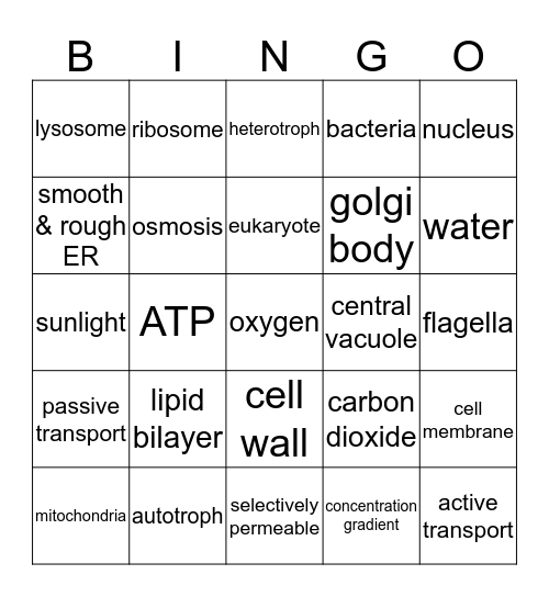 Cell Biology Bingo Card