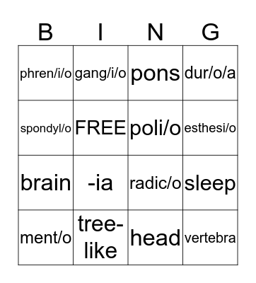 Nervous System Bingo Card