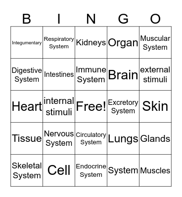 Body Systems Bingo Card
