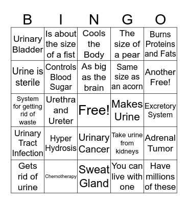 Excretory System Bingo Card