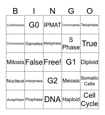 Cell Cycle Bingo Card