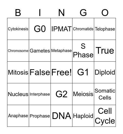 Cell Cycle Bingo Card