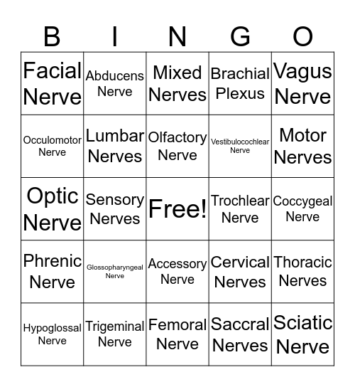 NeuroAnatomy: The PNS Bingo Card